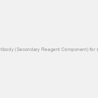 STAT-Q anti Rat Secondary Linking antibody (Secondary Reagent Component) for staining Rat antibodies, 250 plus slides